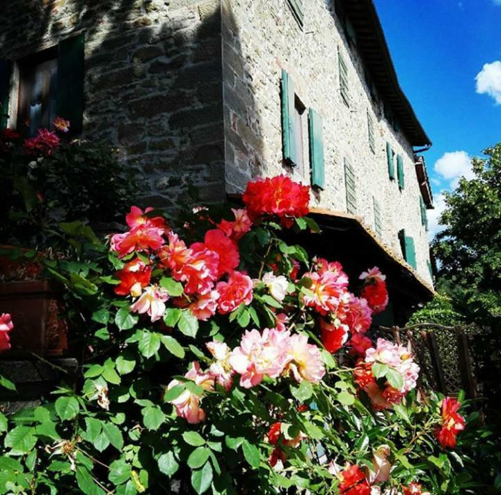 רג'לו Podere I Rovai-Apt Il Rifugio- In The Heart Of Tuscany מראה חיצוני תמונה