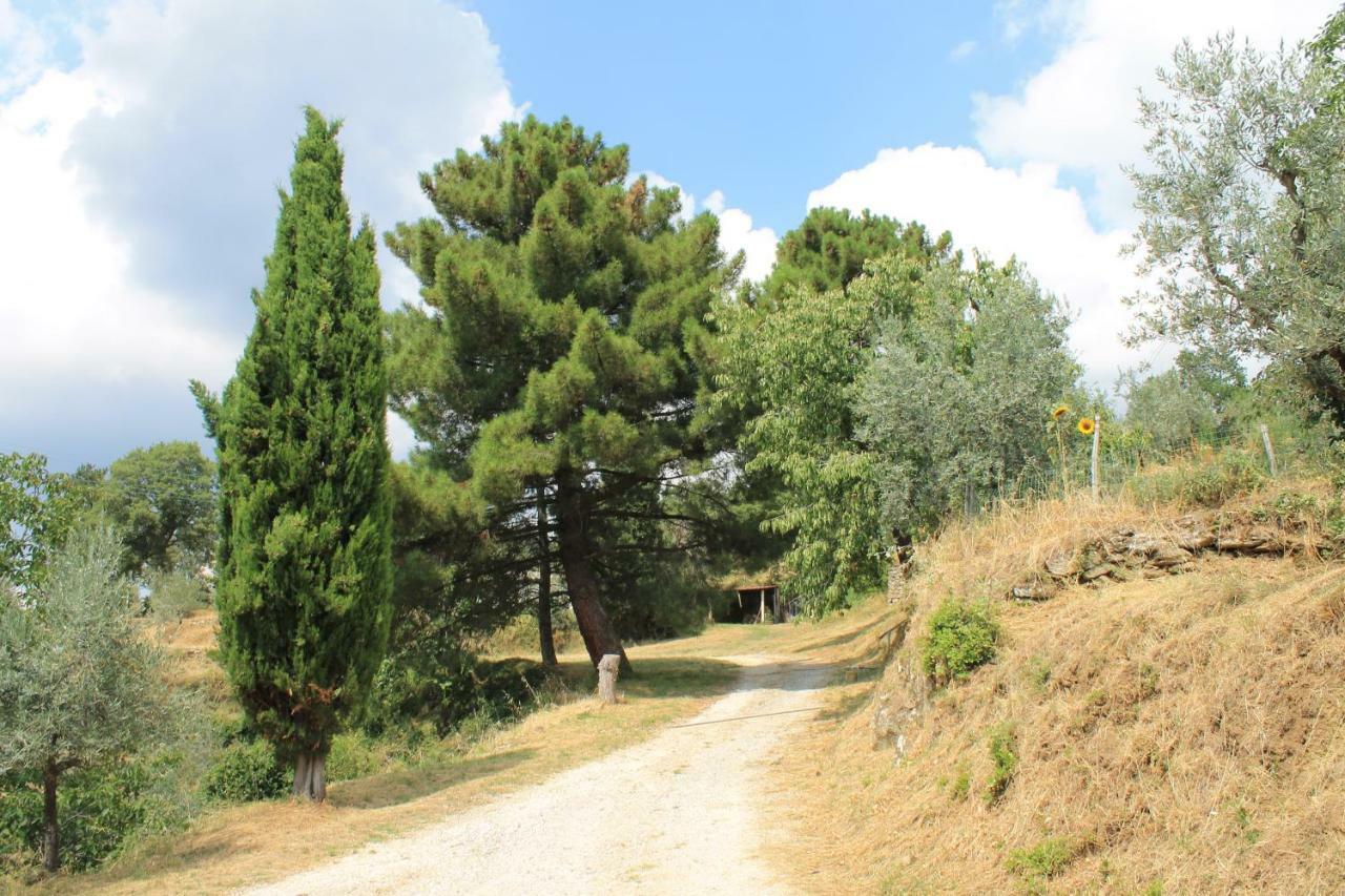 רג'לו Podere I Rovai-Apt Il Rifugio- In The Heart Of Tuscany מראה חיצוני תמונה