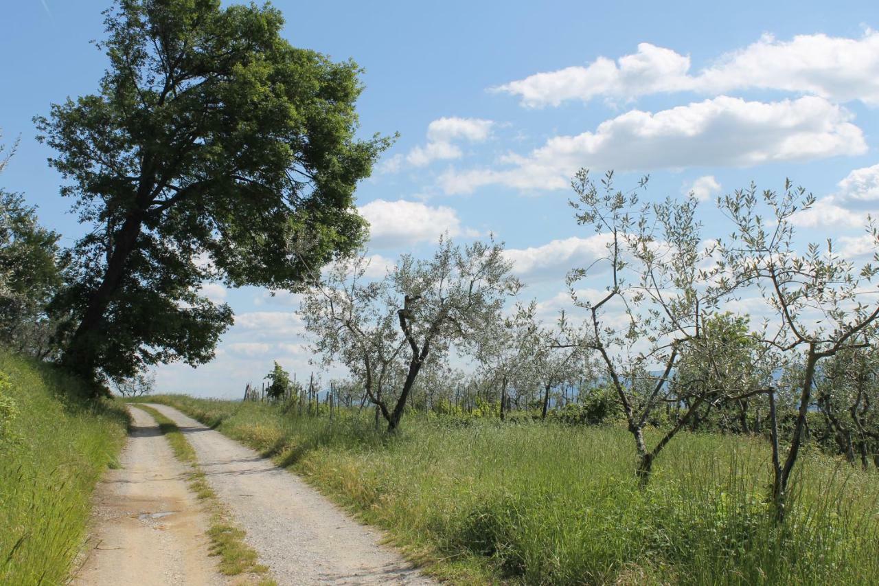 רג'לו Podere I Rovai-Apt Il Rifugio- In The Heart Of Tuscany מראה חיצוני תמונה